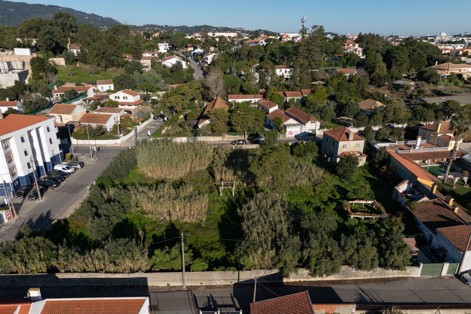 Land in Sintra — photograph 4