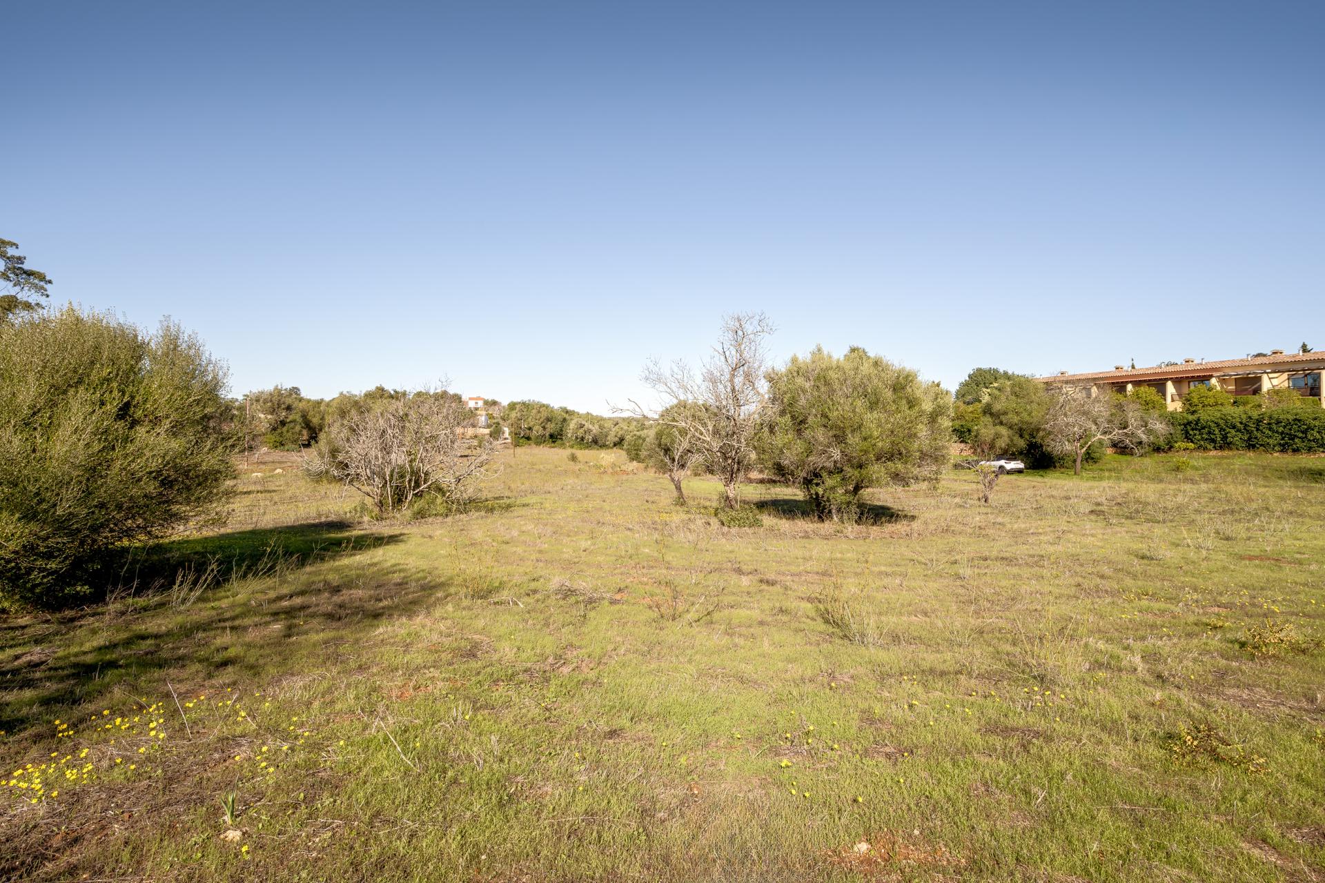 Farm in Alcantarilha, Silves — photograph 2