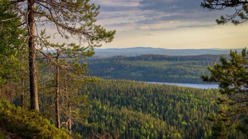 Finland Investor Guide