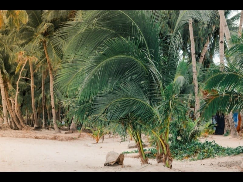 Diniwid Beach